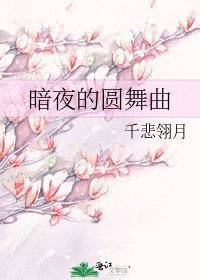 暗夜的圆舞曲